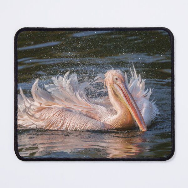 Item preview, Pelican in Motion designed and sold by rawshutterbug.