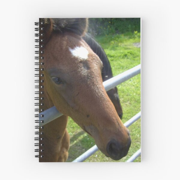 Item preview, Ouch!  The Brent Knoll - Pubs Neigh-bours! designed and sold by anaisnais.