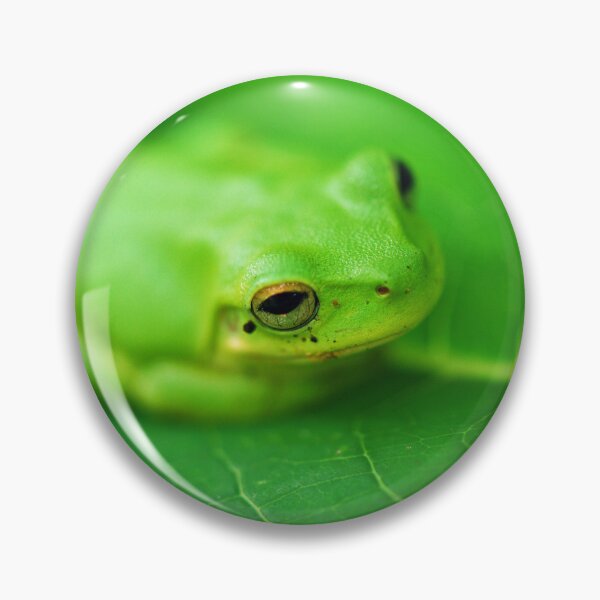 Item preview, Baby Frog on a Pawpaw Leaf designed and sold by Ozjanette90.