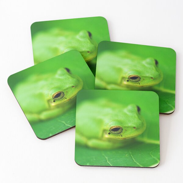 Item preview, Baby Frog on a Pawpaw Leaf designed and sold by Ozjanette90.