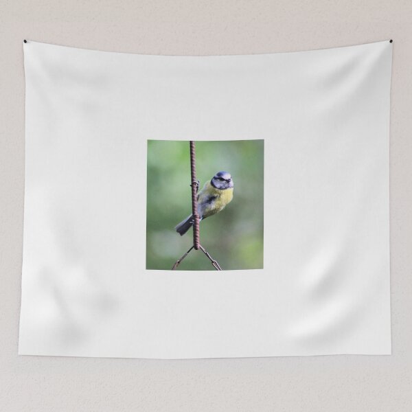 Item preview, Blue tit designed and sold by KathleenDawson.