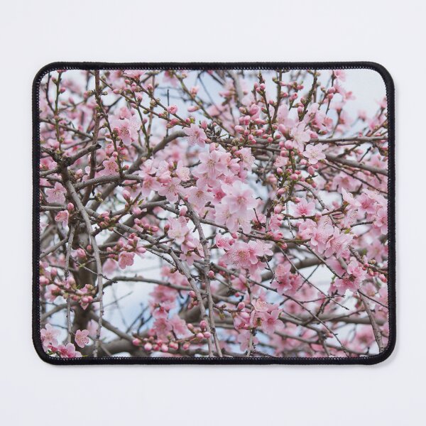 Item preview, Peach Blossom designed and sold by Kim Chi Thai.