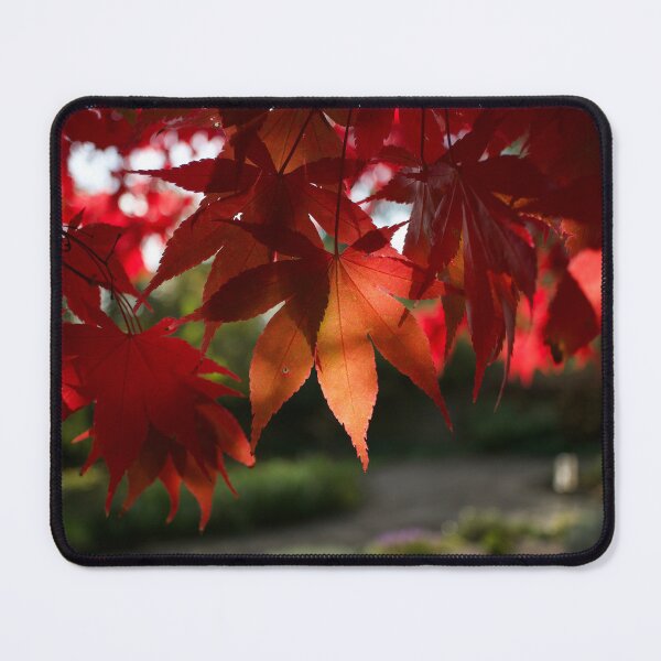 Item preview, Red Autumn Leaves designed and sold by Alisonchambers2.