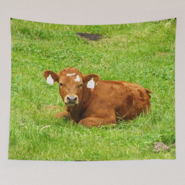 Item preview, Brown cow designed and sold by animal-animal.