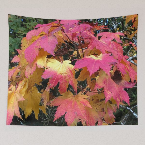 Item preview, Westonbirt Arboretum Autumnal leaves-Natures latest show ! designed and sold by Angela Haig-Harrison.