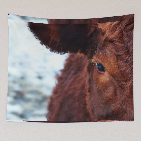 Item preview, Brown cow designed and sold by animal-animal.