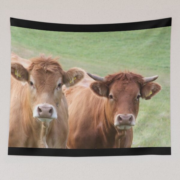 Item preview, Brown cow designed and sold by animal-animal.