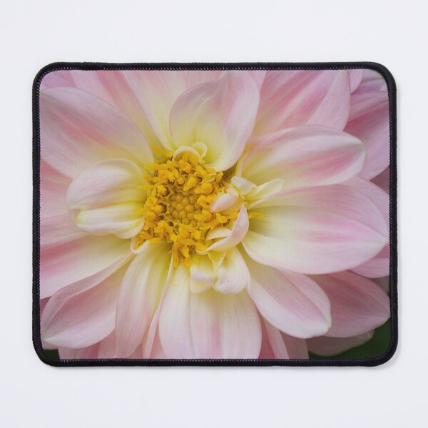 Item preview, Dahlia designed and sold by Kim Chi Thai.
