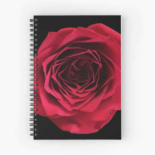 Item preview, Una sola rosa roja profunda sobre fondo negro designed and sold by jaynerushton.