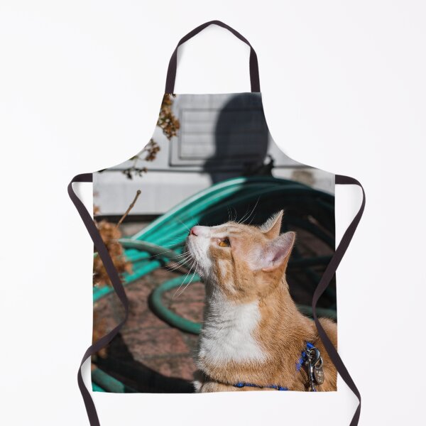 Item preview, Sunlit Curiosity designed and sold by cflashstudios.