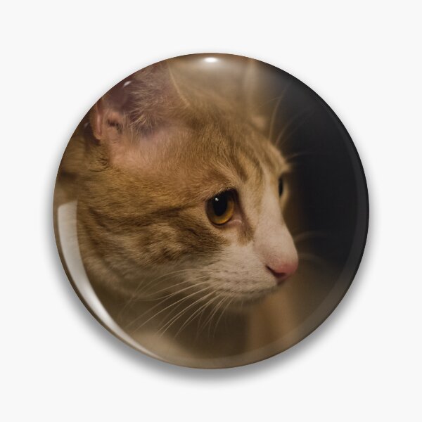 Item preview, Golden Gaze designed and sold by cflashstudios.