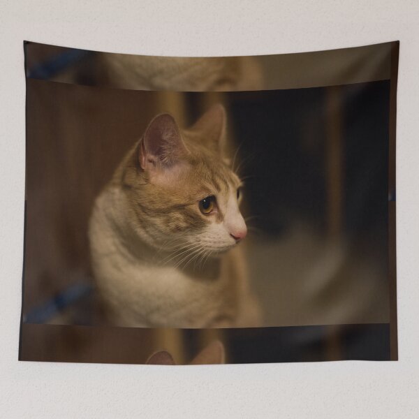 Item preview, Golden Gaze designed and sold by cflashstudios.