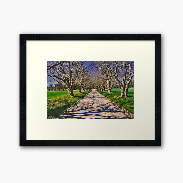 Item preview, Crepe Myrtle Lane designed and sold by Wendy Mogul.