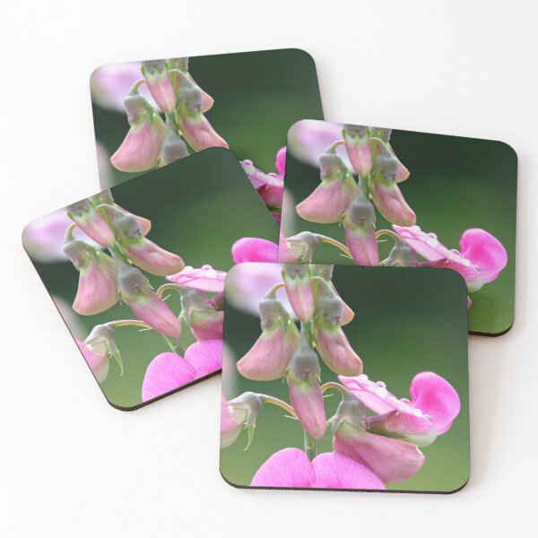 Item preview, Common vetch designed and sold by Calidris Fotografie Steffi & Ben Köppler.