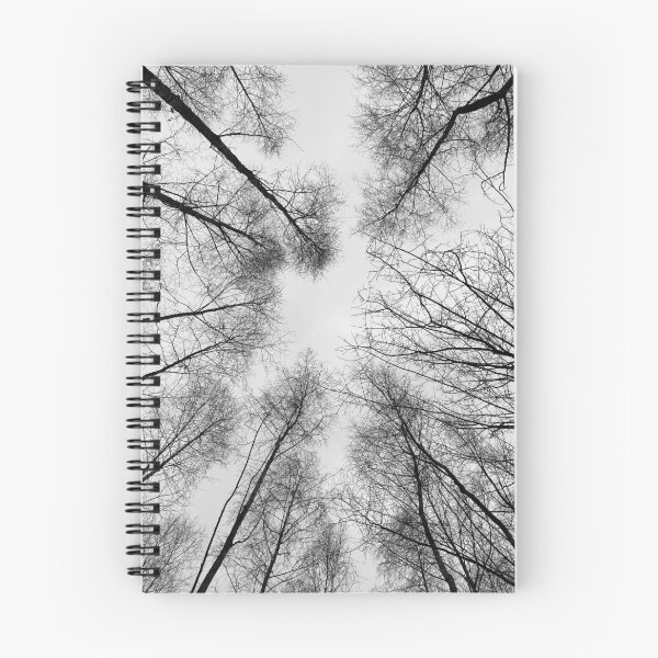 Item preview, The sky through the trees designed and sold by dogonly.