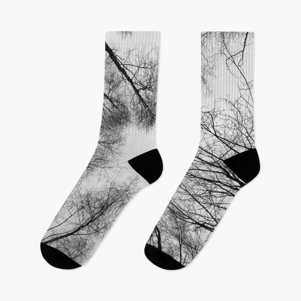 Item preview, The sky through the trees designed and sold by dogonly.