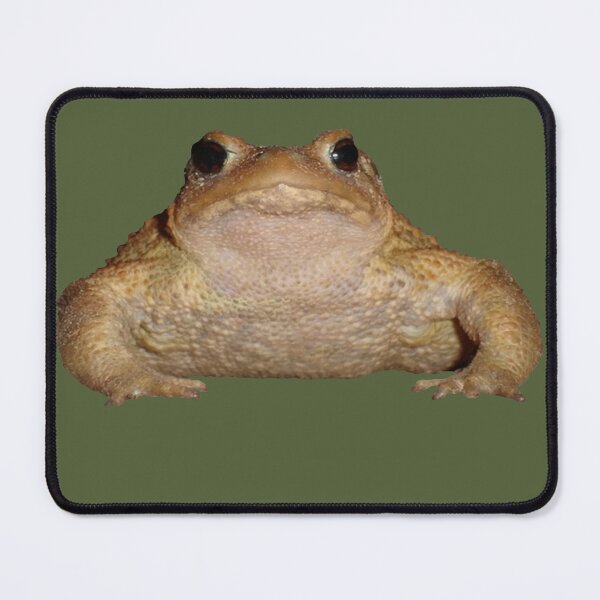 Item preview, Herper Bufo Bufo European Toad Vector designed and sold by taiche.
