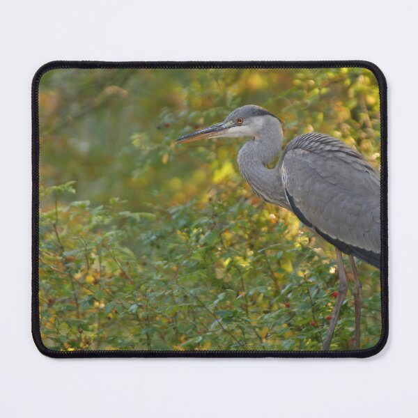 Item preview, Grey Heron designed and sold by Calidris Fotografie Steffi & Ben Köppler.