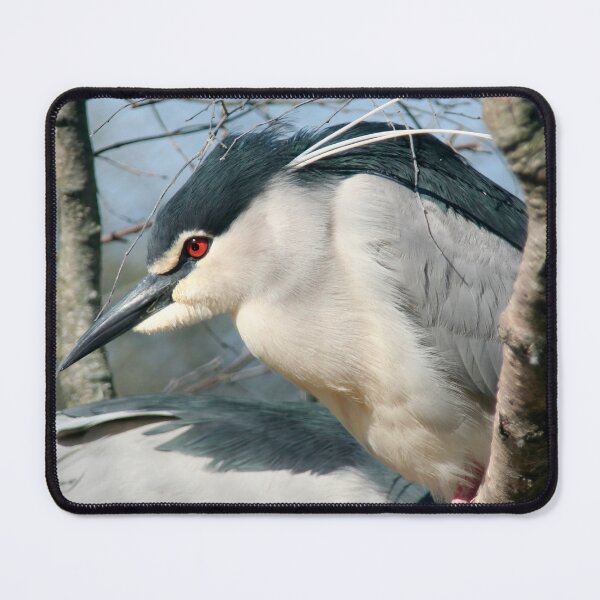 Item preview, Orange Eye designed and sold by Calidris Fotografie Steffi & Ben Köppler.