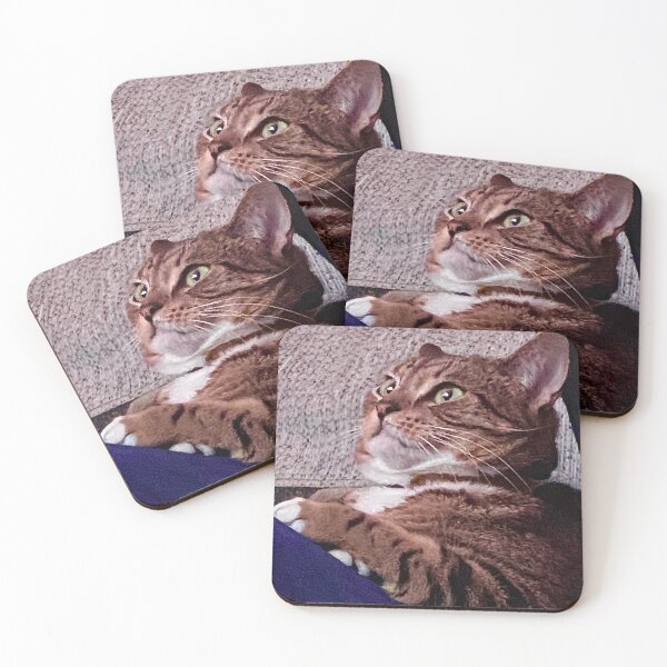 Item preview, Funny Cat Meme Mood designed and sold by lovcee.