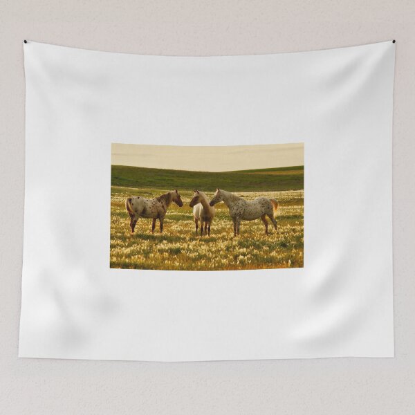 Aperçu de l'œuvre 3 Conférence sur les chevaux dans les Prairies créée et vendue par colorfulbundles.