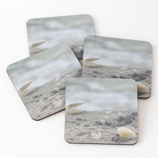 Item preview, Shell designed and sold by Calidris Fotografie Steffi & Ben Köppler.