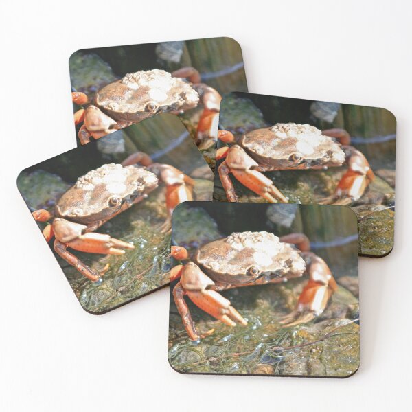 Item preview, Bubbles designed and sold by Calidris Fotografie Steffi & Ben Köppler.