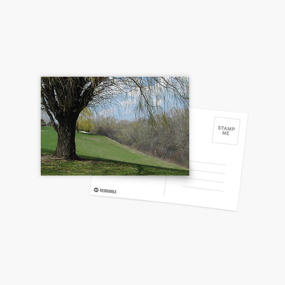 Painted view Postcard