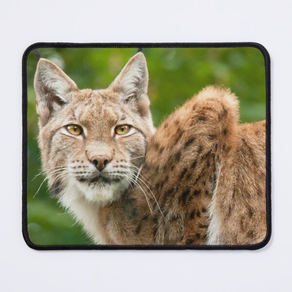 Item preview, Golden eyes designed and sold by Dominika Aniola.