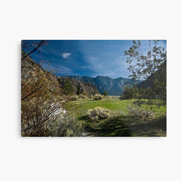 BC beauty Metal Print