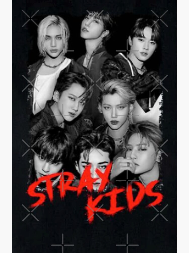 Limited Edition Stray Kids world tour black and white style