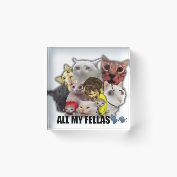 Item preview, all my fellas internet cats meme designed and sold by tee hee tees.