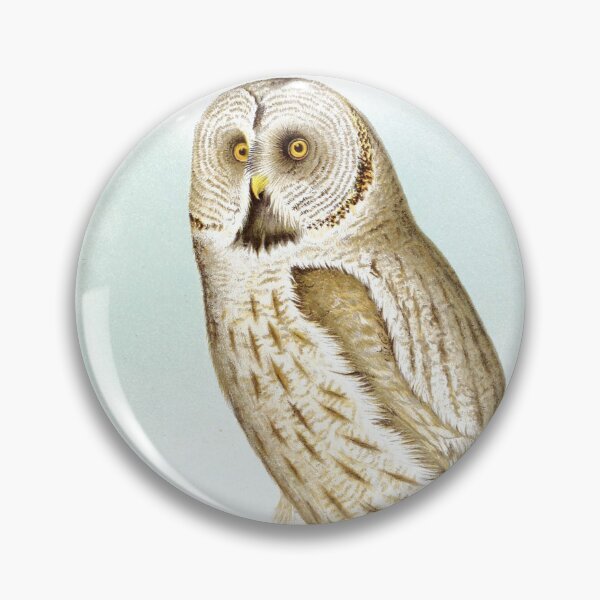 Item preview, Great Grey Owl Birds of Alaska Realistic Scientific Vintage Drawing by Lucien McShan Turner designed and sold by ElegantTeaTime.