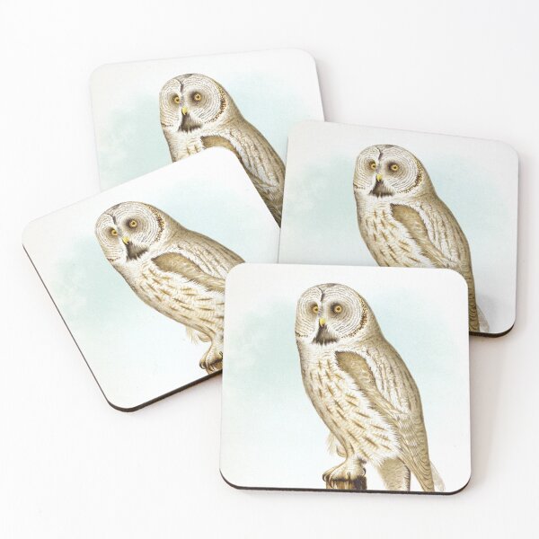Item preview, Great Grey Owl Birds of Alaska Realistic Scientific Vintage Drawing by Lucien McShan Turner designed and sold by ElegantTeaTime.