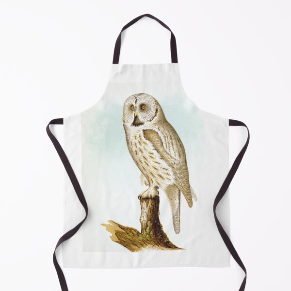Item preview, Great Grey Owl Birds of Alaska Realistic Scientific Vintage Drawing by Lucien McShan Turner designed and sold by ElegantTeaTime.