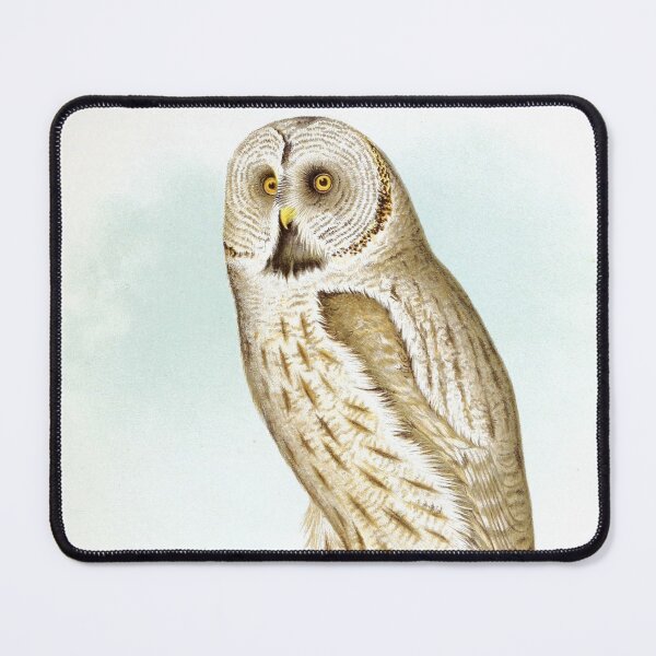 Item preview, Great Grey Owl Birds of Alaska Realistic Scientific Vintage Drawing by Lucien McShan Turner designed and sold by ElegantTeaTime.