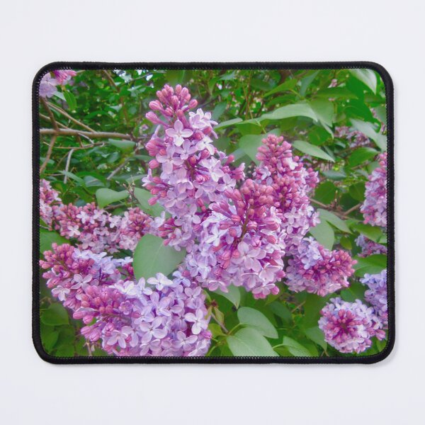Item preview, Lilacs designed and sold by Shulie1.