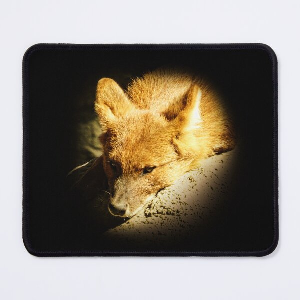Item preview, Dhole-Asian wild dog designed and sold by Guardi71.