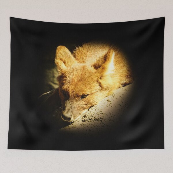 Item preview, Dhole-Asian wild dog designed and sold by Guardi71.