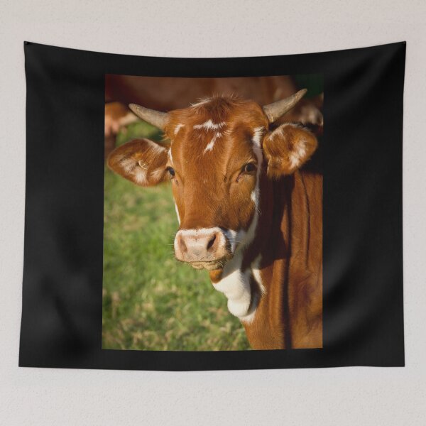 Item preview, Brown cow designed and sold by animal-animal.