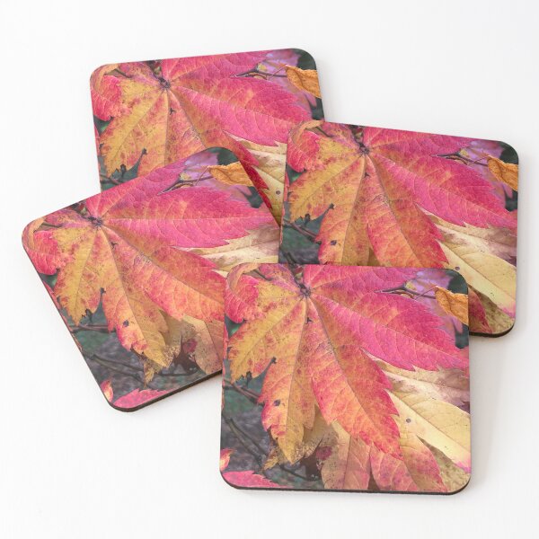 Item preview, Westonbirt Arboretum Autumnal leaves-Natures latest show ! designed and sold by Angela Haig-Harrison.