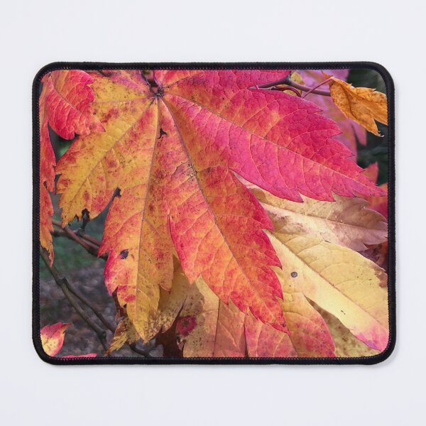 Item preview, Westonbirt Arboretum Autumnal leaves-Natures latest show ! designed and sold by Angela Haig-Harrison.