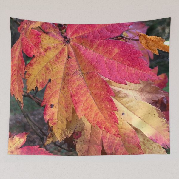 Item preview, Westonbirt Arboretum Autumnal leaves-Natures latest show ! designed and sold by Angela Haig-Harrison.