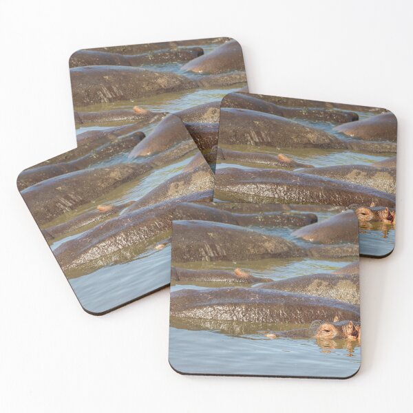Item preview, A Bloat of Hippos Tanzania Africa designed and sold by PhotoArt by Joan Carroll.