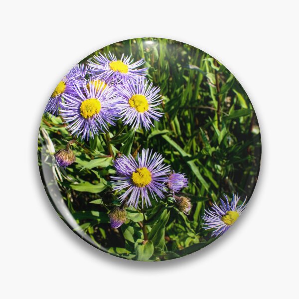 Item preview, Wild flowers designed and sold by CanadianWild418.