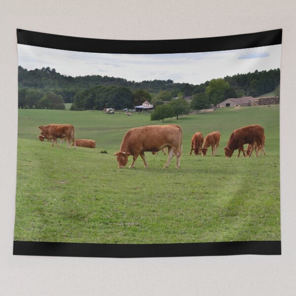 Item preview, Brown cow designed and sold by animal-animal.