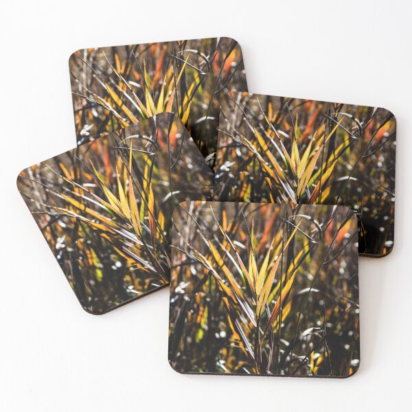 Item preview, Autumn grasses. designed and sold by CanadianWild418.