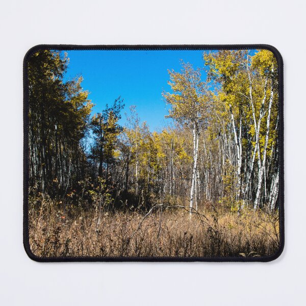 Item preview, Autumn scenery designed and sold by CanadianWild418.