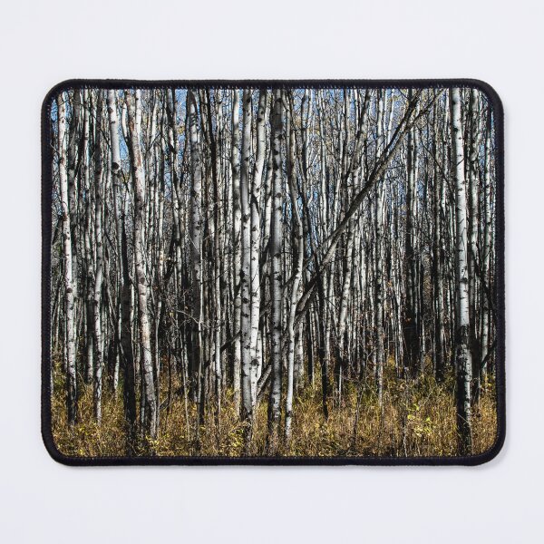 Item preview, Trees on a fall hike designed and sold by CanadianWild418.