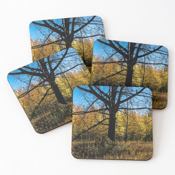 Item preview, Old bur oak tree in the fall designed and sold by CanadianWild418.
